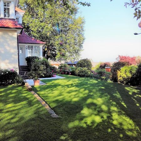 Villa Burgblick - Luxury Bnb Staufen im Breisgau Buitenkant foto