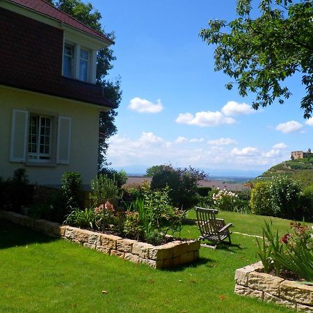 Villa Burgblick - Luxury Bnb Staufen im Breisgau Buitenkant foto