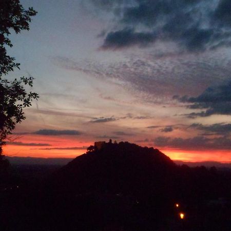 Villa Burgblick - Luxury Bnb Staufen im Breisgau Buitenkant foto