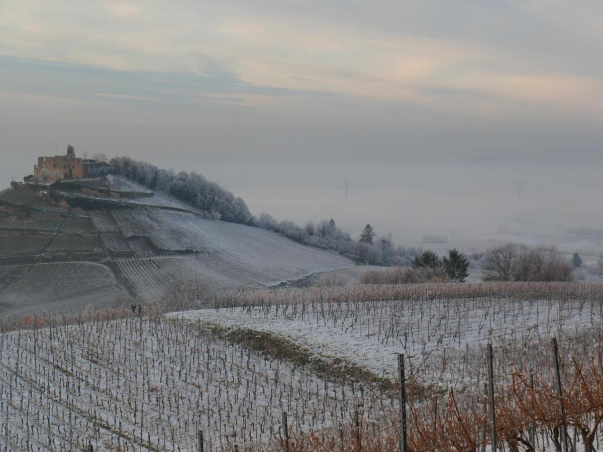 Villa Burgblick - Luxury Bnb Staufen im Breisgau Buitenkant foto