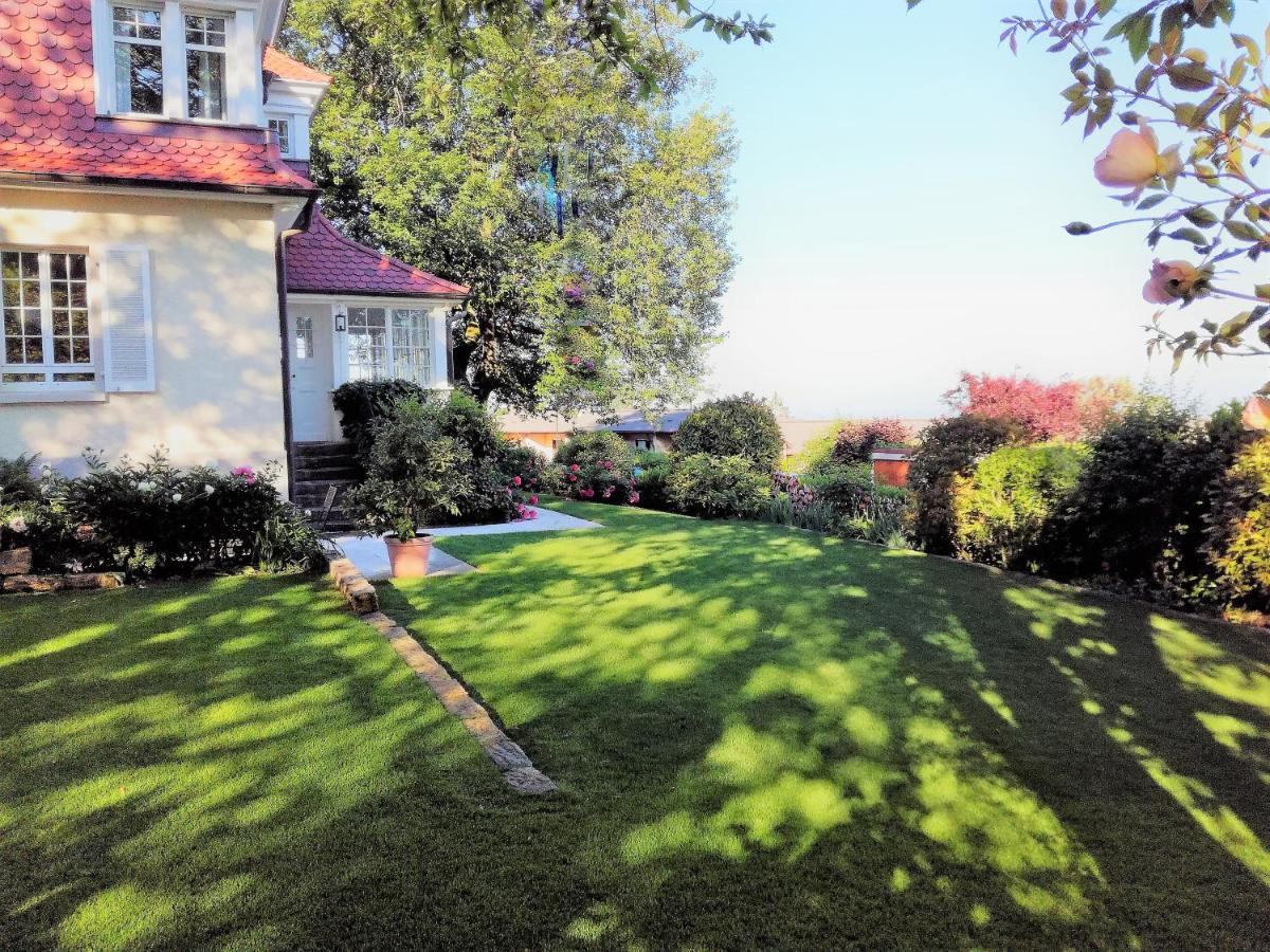 Villa Burgblick - Luxury Bnb Staufen im Breisgau Buitenkant foto