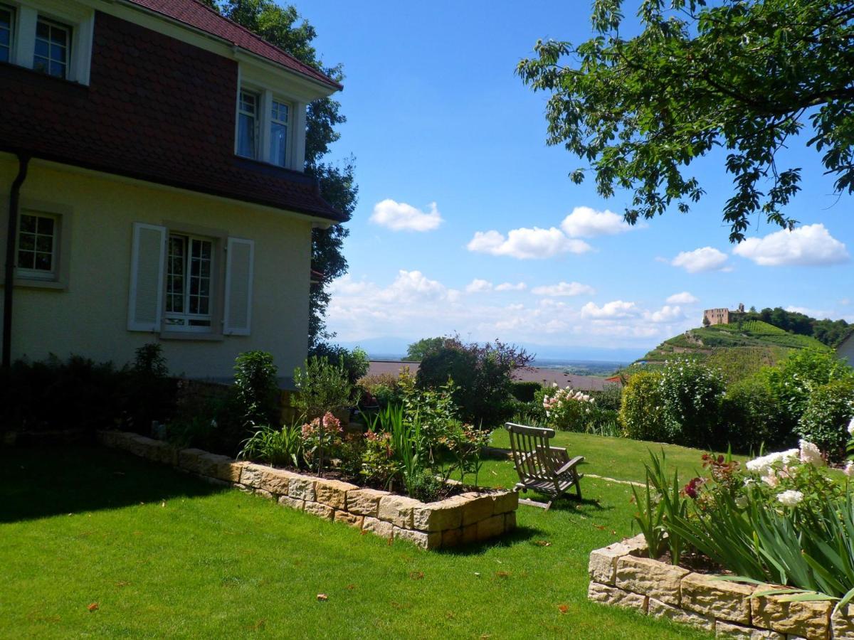 Villa Burgblick - Luxury Bnb Staufen im Breisgau Buitenkant foto