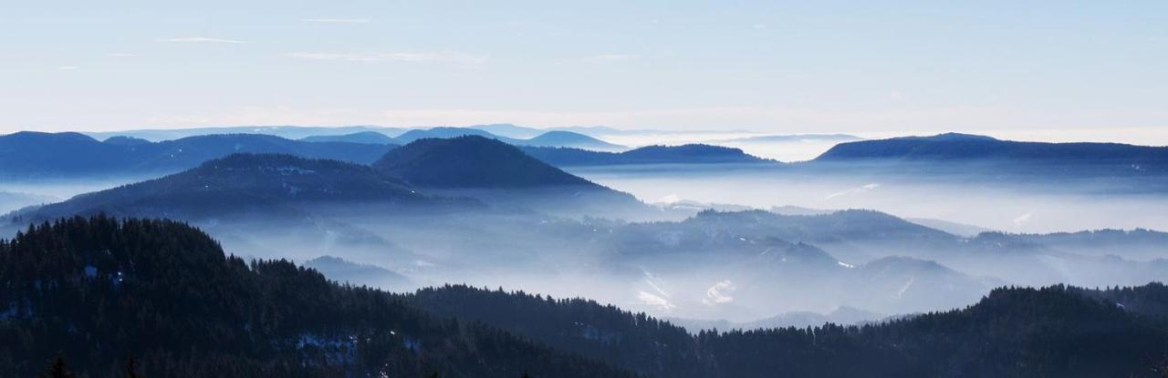 Villa Burgblick - Luxury Bnb Staufen im Breisgau Buitenkant foto